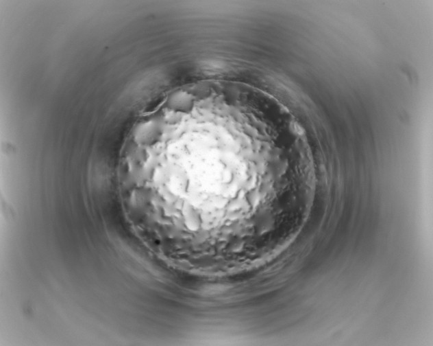 X0000091340653200708101444