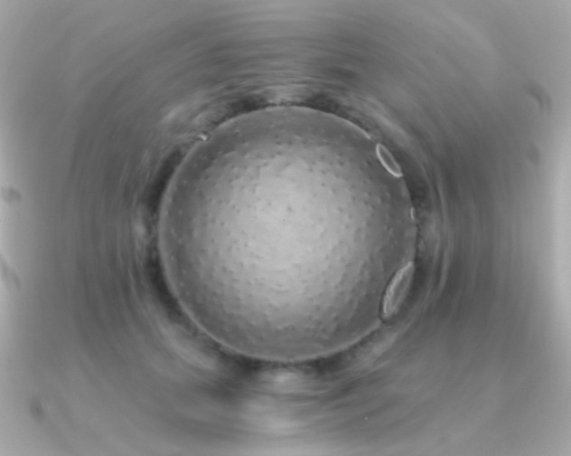 X0000091340655200708101444