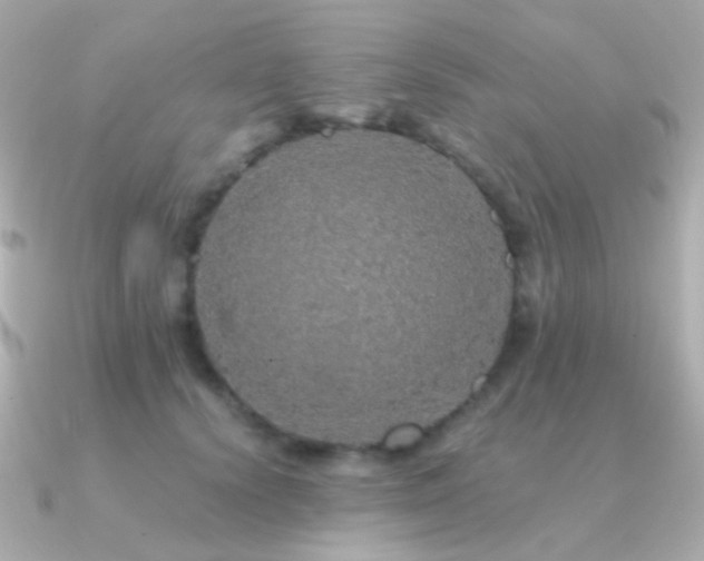 X0000091340656200708101444