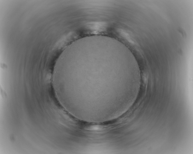 X0000091340657200708101444