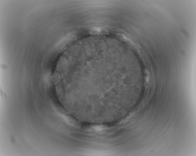 X0000091340659200708101444