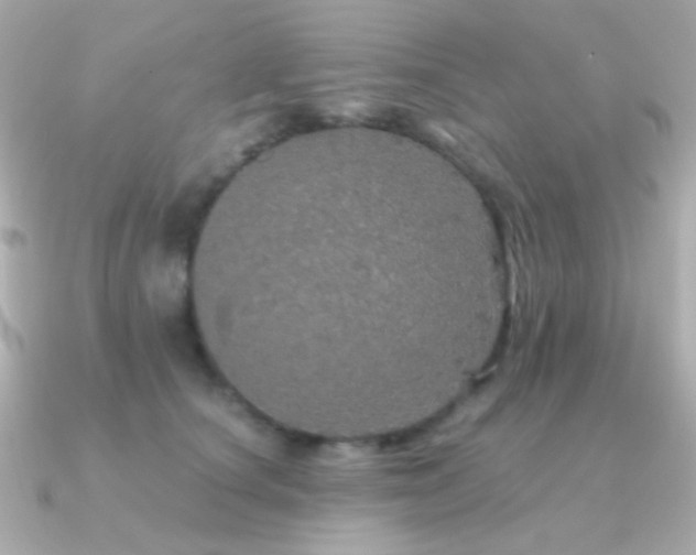 X0000091340660200708101444