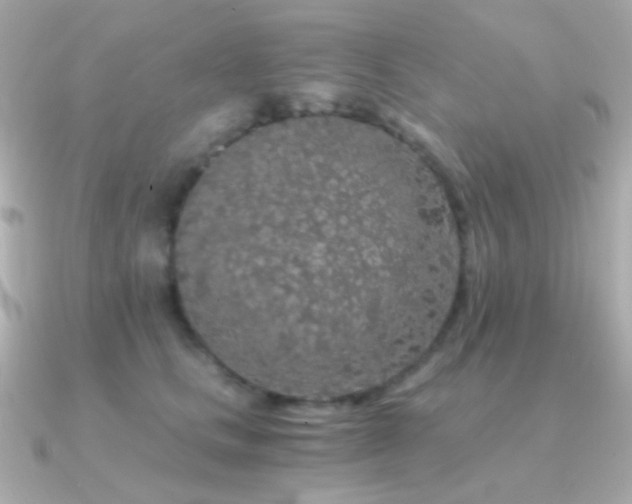 X0000091340661200708101444