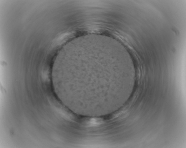 X0000091340663200708101444