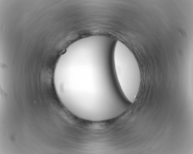 X0000091340664200708101444