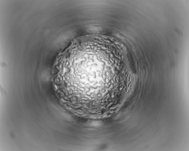 X0000091340665200708101444
