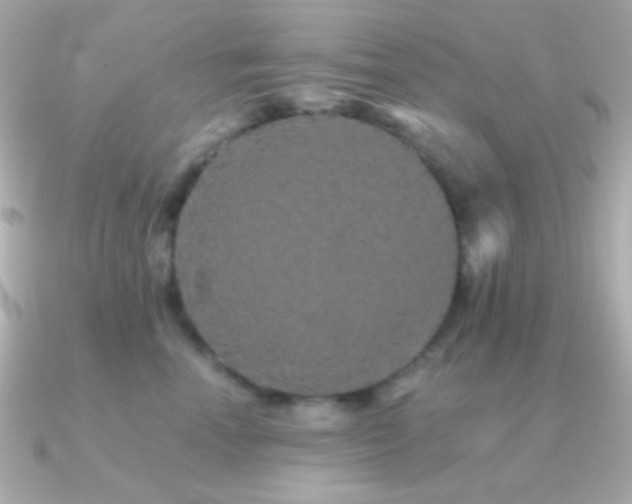 X0000091340666200708101444