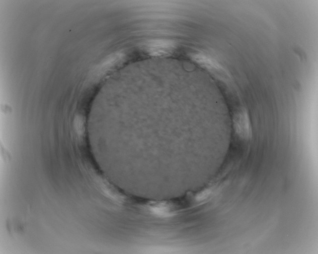 X0000091340667200708101444