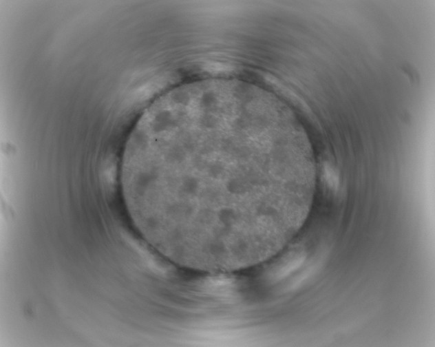 X0000091340668200708101444