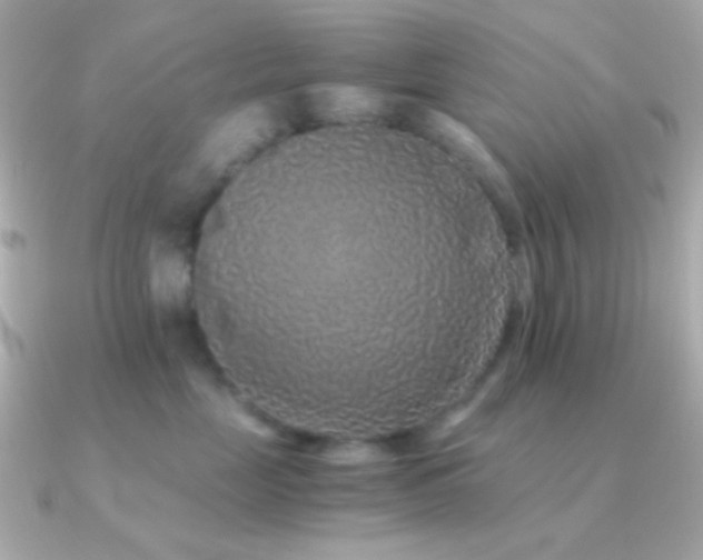 X0000091340669200708101444
