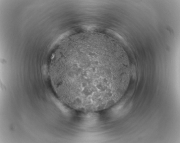 X0000091340670200708101444