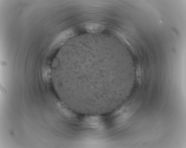 X0000091340671200708101445