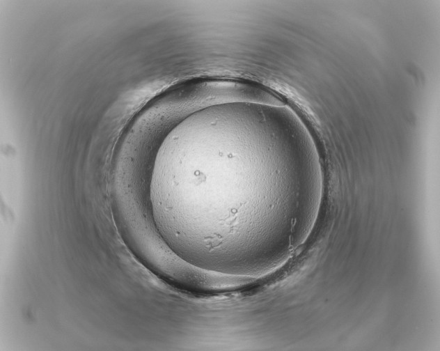 X0000091340673200708101444