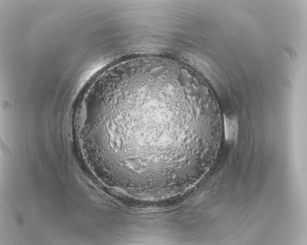 X0000091340675200708101444