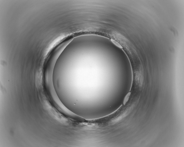 X0000091340676200708101444