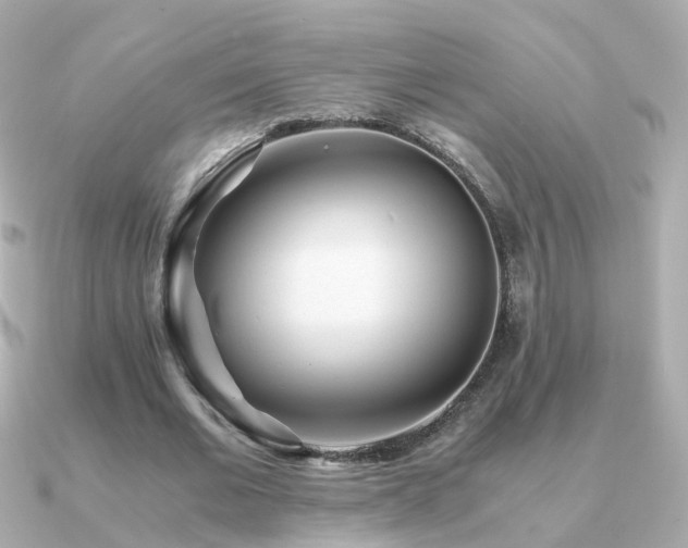 X0000091340677200708101444
