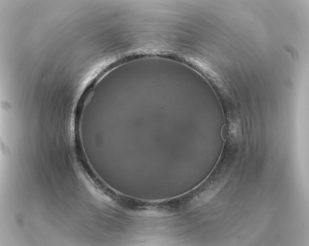 X0000091340678200708101444