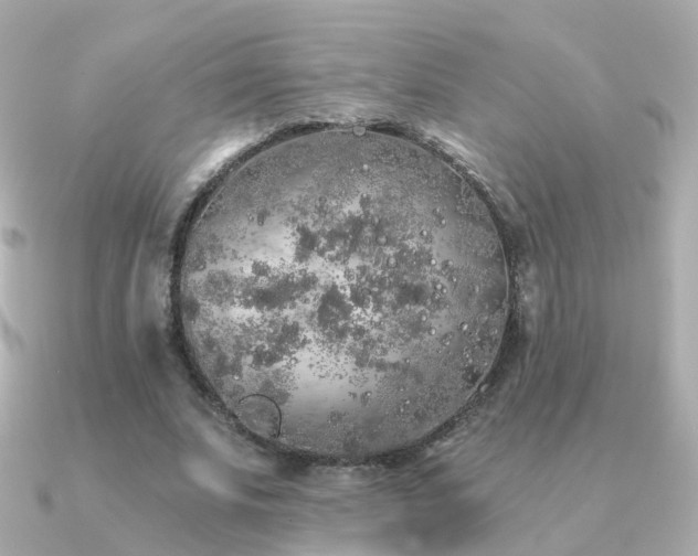 X0000091340679200708101444