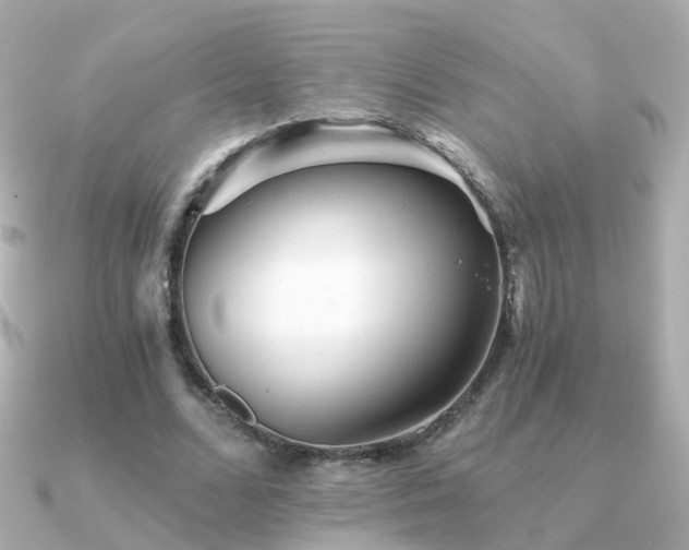 X0000091340680200708101444