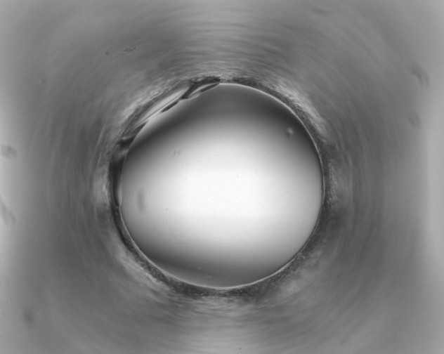 X0000091340681200708101444