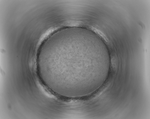 X0000091340682200708101444