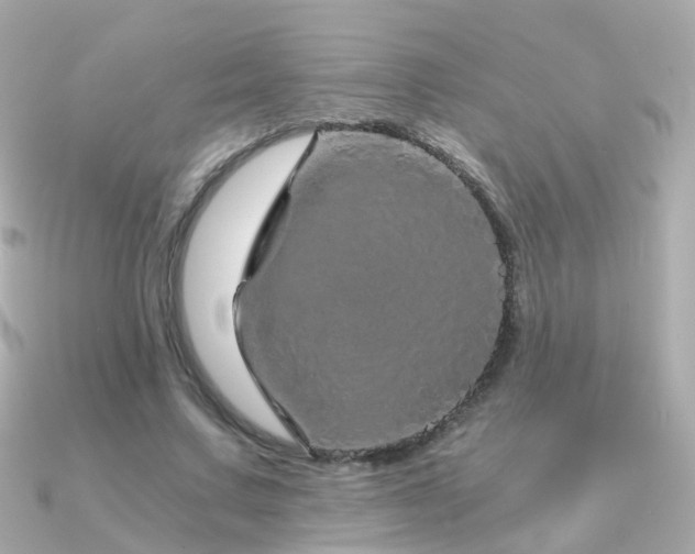 X0000091340683200708101444