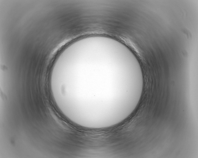 X0000091340684200708101444
