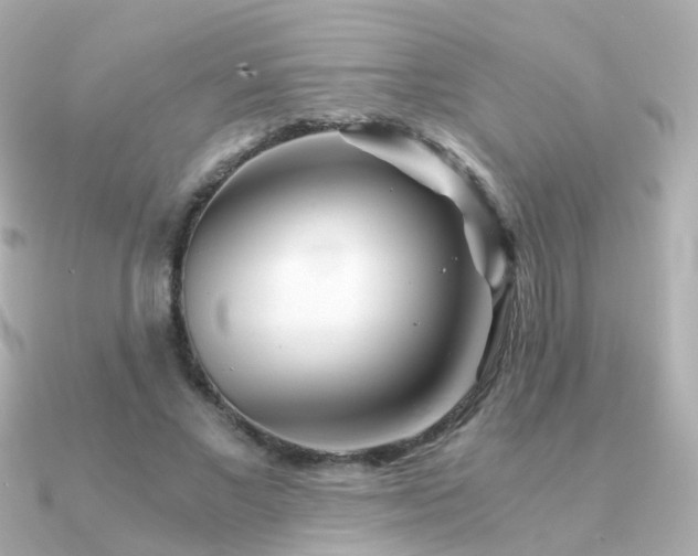 X0000091340685200708101444