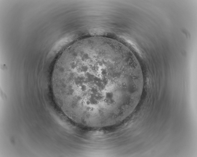 X0000091340687200708101444
