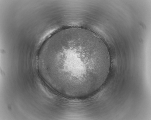X0000091340688200708101444