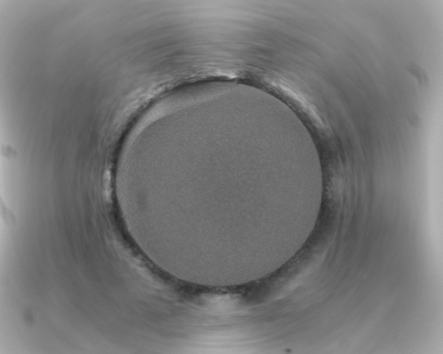 X0000091340689200708101444