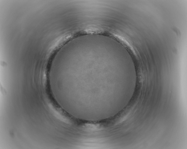 X0000091340690200708101444