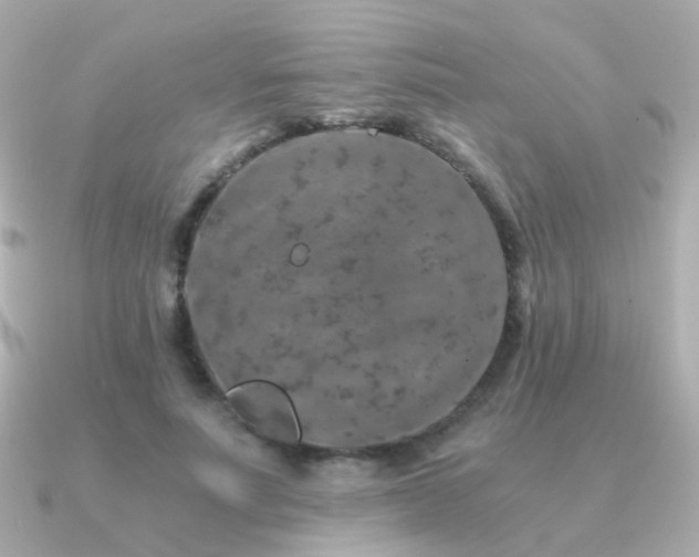 X0000091340691200708101444