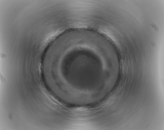 X0000091340692200708101444
