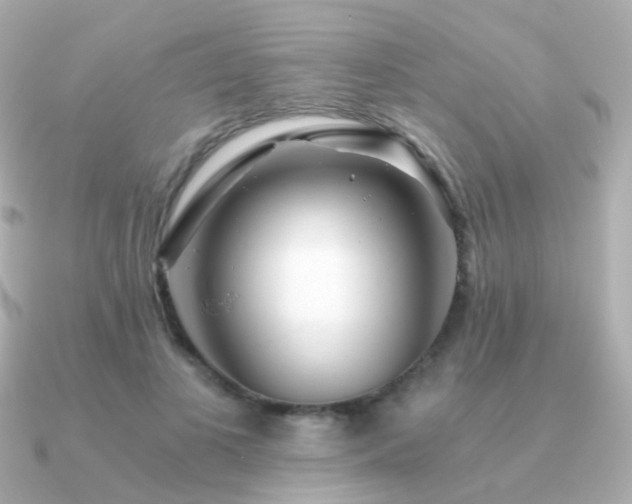 X0000091340693200708101444