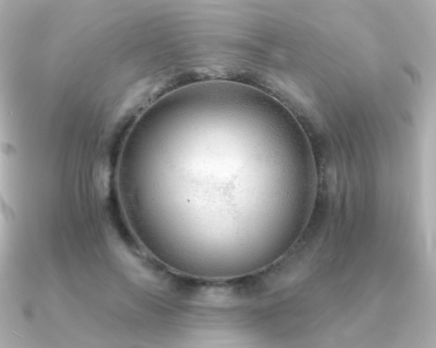 X0000091340694200708101444