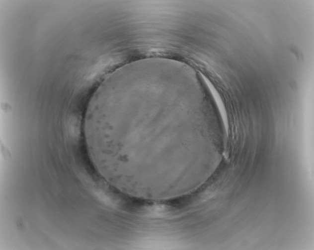 X0000091340695200708101444