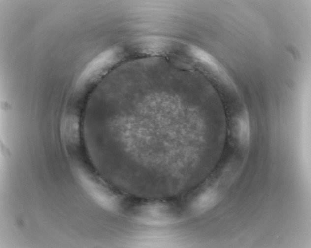 X0000091340696200708101444