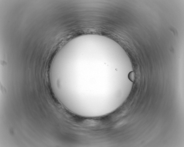 X0000091340699200708101444