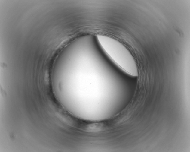 X0000091340700200708101444