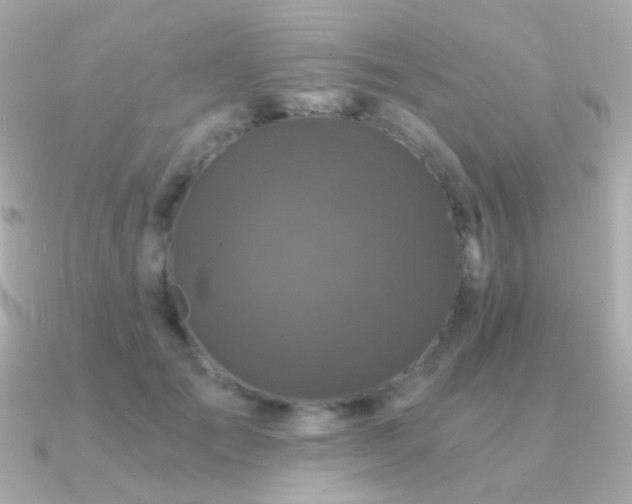 X0000091340701200708101444