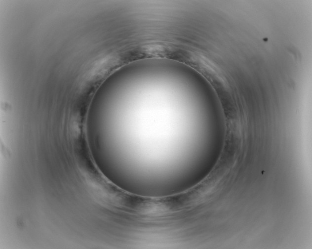 X0000091340702200708101444