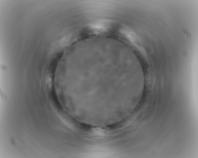 X0000091340703200708101444