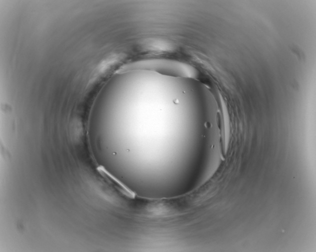 X0000091340704200708101444