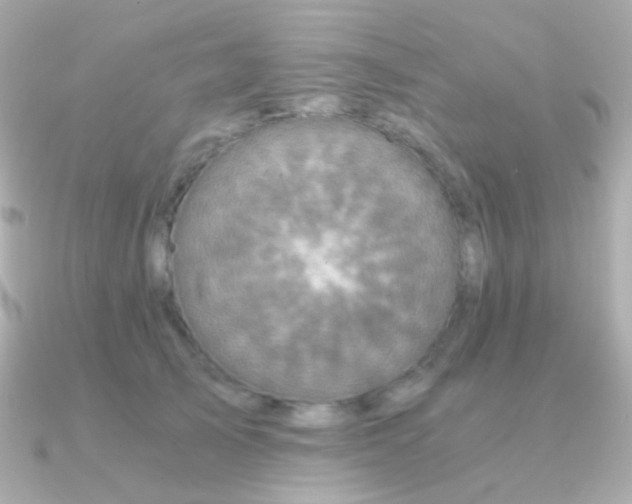 X0000091340705200708101444