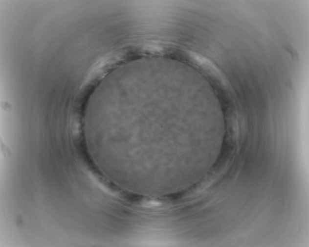 X0000091340706200708101444