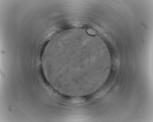 X0000091340707200708101444