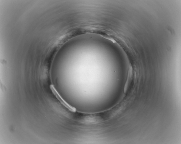 X0000091340708200708101444