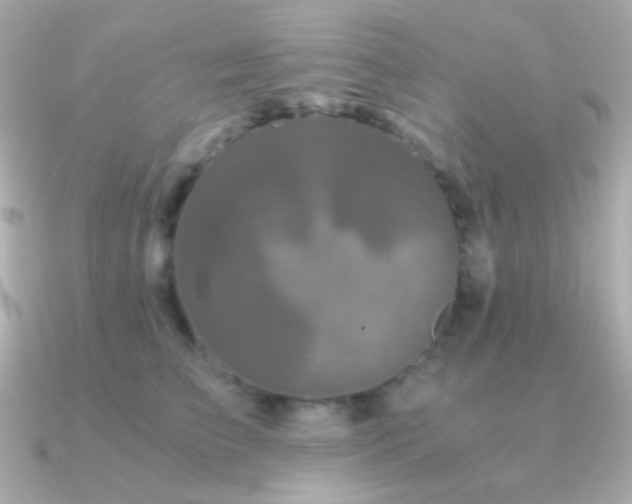X0000091340709200708101444