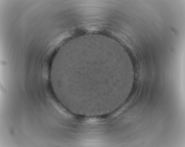 X0000091340710200708101444